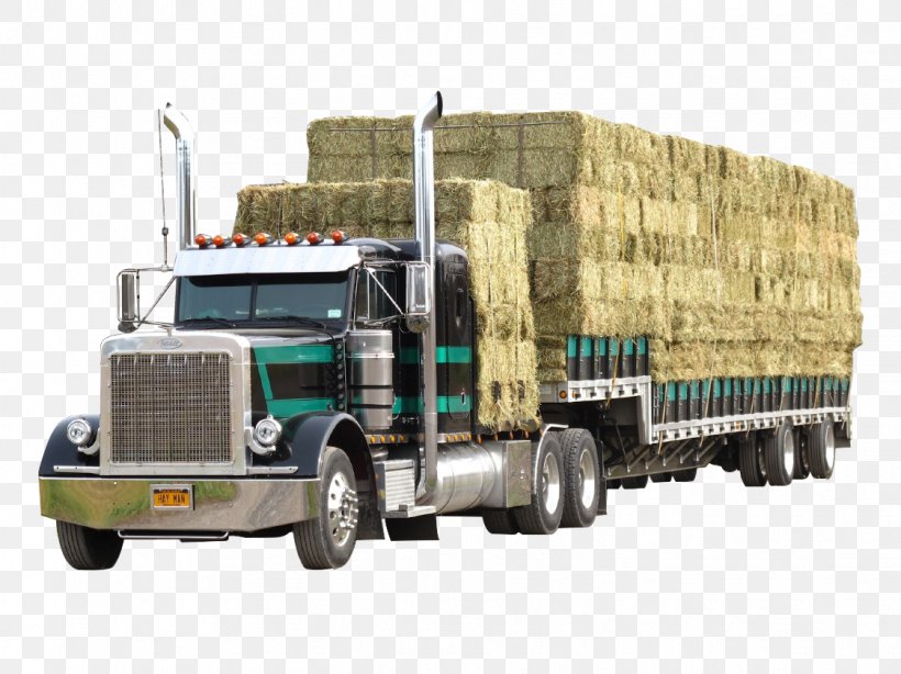 Semi-trailer Truck Car American Truck Simulator Freightliner Trucks, PNG, 1123x842px, Semitrailer Truck, American Truck Simulator, Bumper, Car, Cargo Download Free