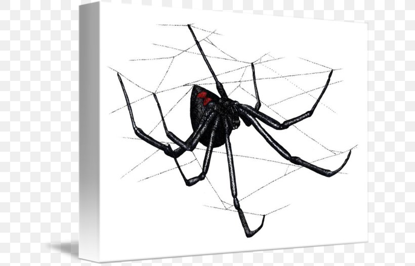 Spider Web Latrodectus Hesperus Southern Black Widow, PNG, 650x526px, Spider, Arachnid, Art, Arthropod, Black And White Download Free