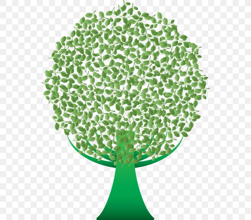 Tree Green Clip Art Desktop Wallpaper, PNG, 551x720px, Tree, Drawing, Grass, Green, Leaf Download Free
