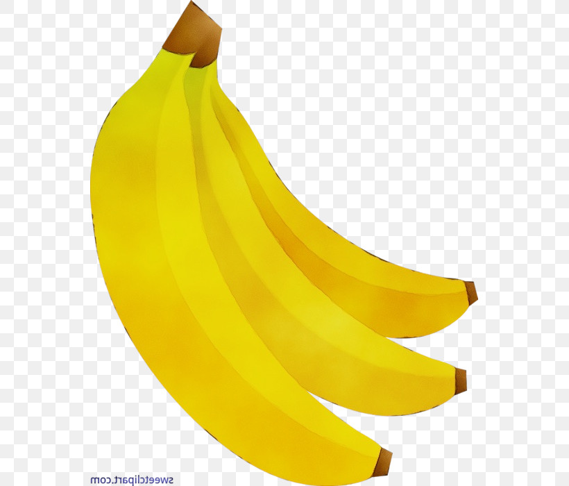 Banana Yellow, PNG, 559x700px, Watercolor, Banana, Paint, Wet Ink, Yellow Download Free