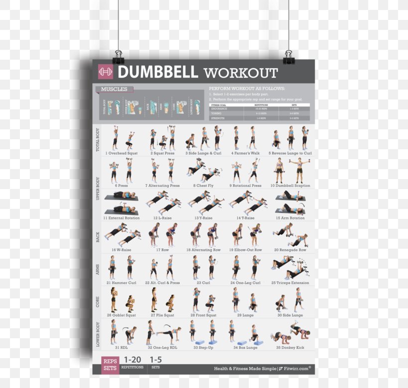 Dumbbell Exercise Strength Training Weight Training Physical Fitness, PNG, 600x780px, Dumbbell, Arm, Brand, Endurance, Exercise Download Free