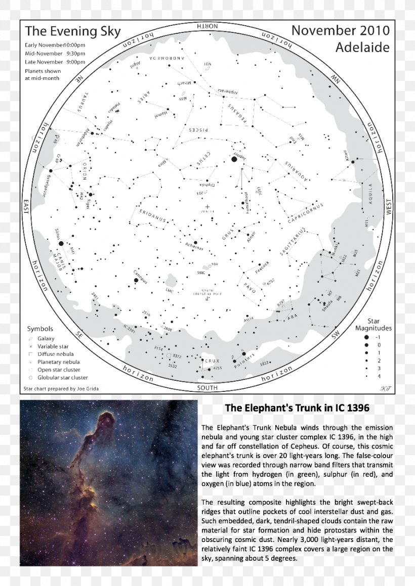 Elephant's Trunk Nebula Circle Organism Font, PNG, 933x1319px, Organism, Nebula Download Free