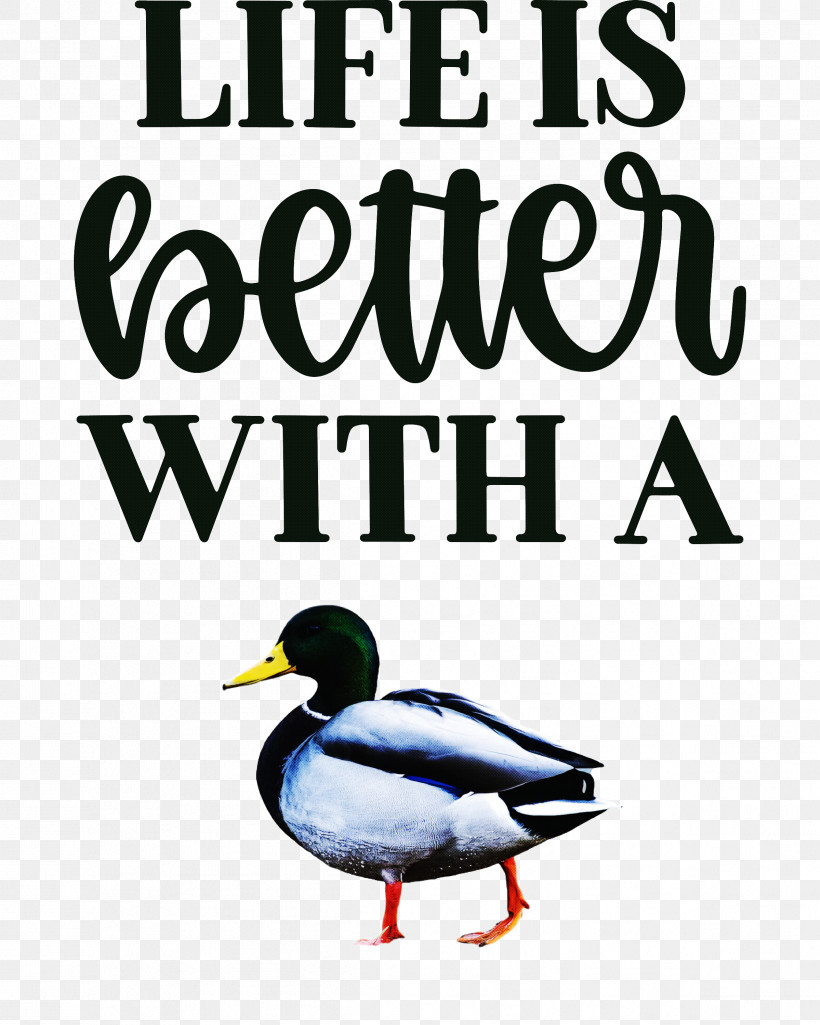 Life Better, PNG, 2398x2999px, Life, Beak, Better, Birds, Charriol Download Free