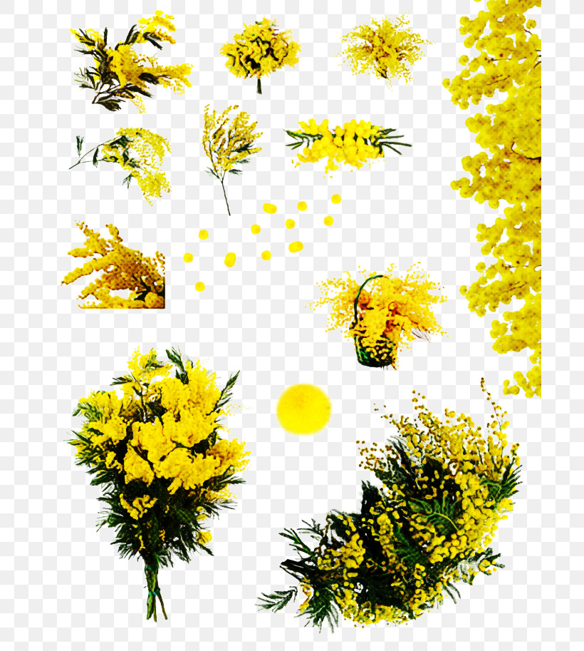 Sunflower, PNG, 700x913px, Yellow, Chamomile, Dandelion, Flower, Goldenrod Download Free