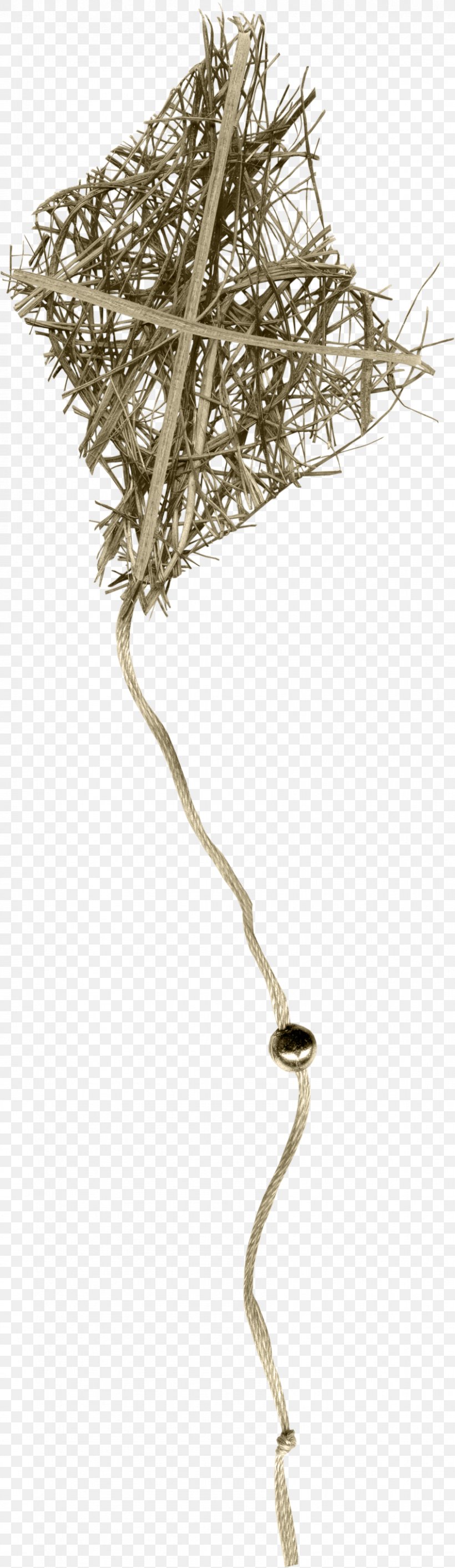 Tree Twig Plant Stem Branching, PNG, 848x2919px, Tree, Branch, Branching, Plant, Plant Stem Download Free