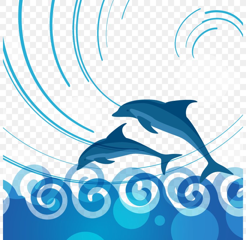 Burrunan Dolphin, PNG, 800x800px, Burrunan Dolphin, Aqua, Azure, Black And White, Blue Download Free