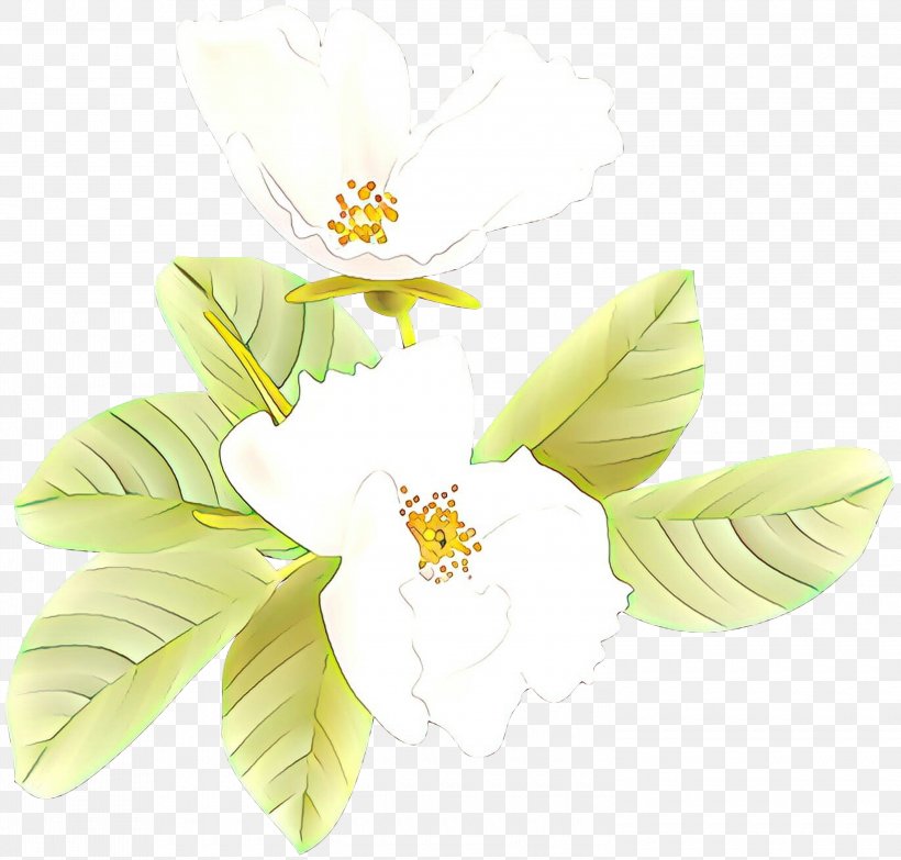 White Flower Petal Plant Yellow, PNG, 3000x2867px, Cartoon, Cut Flowers, Flower, Flowering Plant, Leaf Download Free