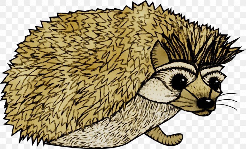 Domesticated Hedgehog European Hedgehog Porcupine Dog, PNG, 1000x608px, Domesticated Hedgehog, Cat, Dog, Domestication, Echidna Download Free