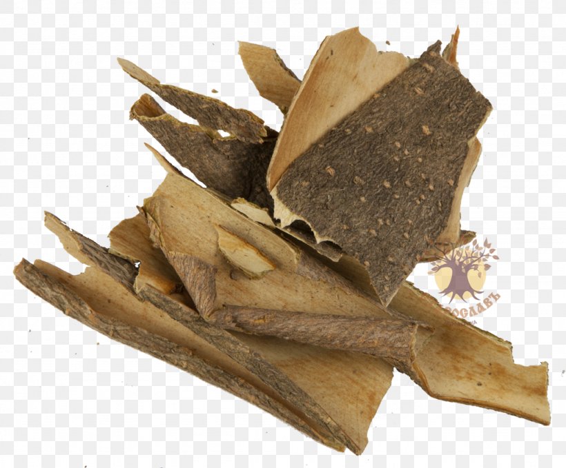 Guelder-rose Bark Herb Traditional Medicine Decoction, PNG, 1024x849px, Guelderrose, Bark, Cheeses, Chemical Substance, Cinnamomum Verum Download Free