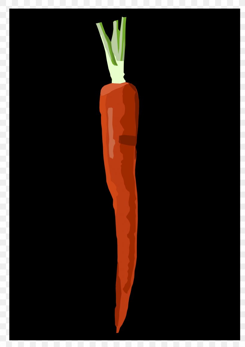 Carrot Download Clip Art, PNG, 1697x2400px, Carrot, Animation, Bell Peppers And Chili Peppers, Food, Image Tracing Download Free
