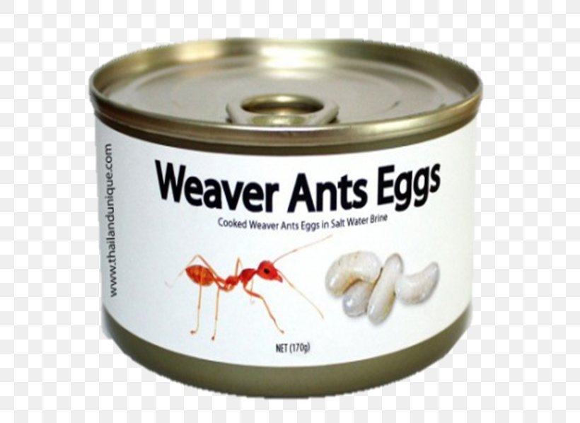 Escamol Egg Caviar Ant Ingredient, PNG, 599x598px, 2016, Escamol, Amber, Ant, Caviar Download Free