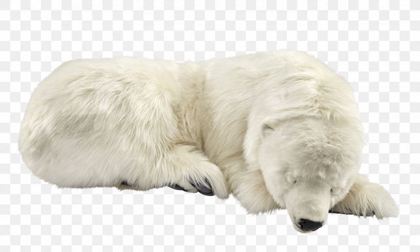 Polar Bear Great Pyrenees Polish Tatra Sheepdog Kuvasz, PNG, 2048x1233px, Polar Bear, Animal, Bear, Canidae, Carnivoran Download Free