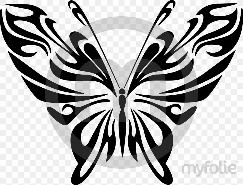 Clip Art Drawing Image Line Art, PNG, 2362x1802px, Drawing, Art, Art Museum, Arthropod, Black And White Download Free