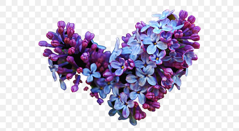 Cut Flowers Common Lilac Lavender, PNG, 600x450px, Cut Flowers, Common Lilac, Flower, Flowering Plant, Lavender Download Free