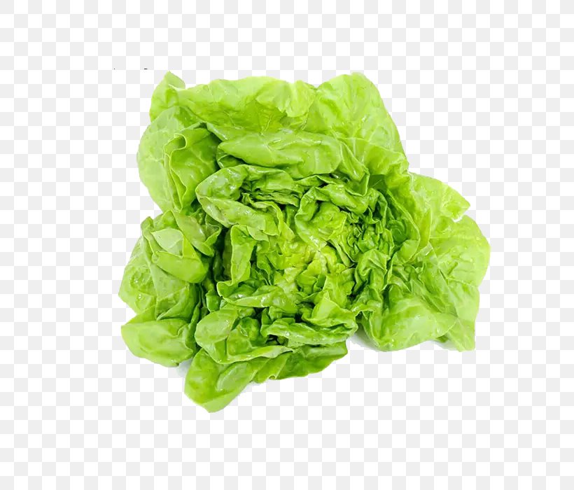 Romaine Lettuce Cream Vegetable Milk European Cuisine, PNG, 700x700px, Milk, Butterhead Lettuce, Chinese Cabbage, Cream, Food Download Free