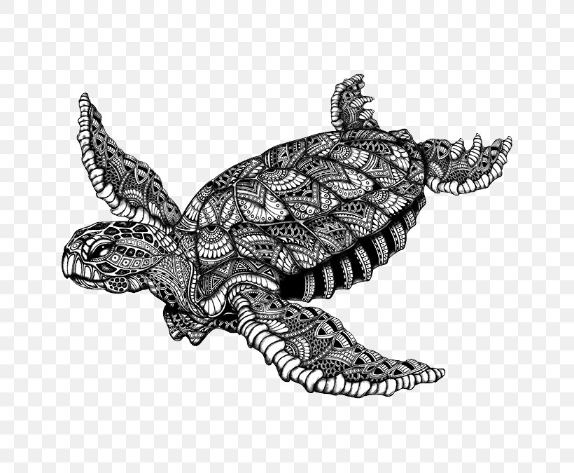 Sea Turtle Tortoise Emydidae Snapping Turtles, PNG, 675x675px, Sea Turtle, Animal, Black, Black And White, Chelydridae Download Free