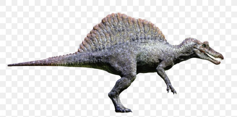Spinosaurus Tyrannosaurus Velociraptor Giganotosaurus Jurassic Park: Operation Genesis, PNG, 1024x505px, Spinosaurus, Animal Figure, Animatronics, Dinosaur, Extinction Download Free