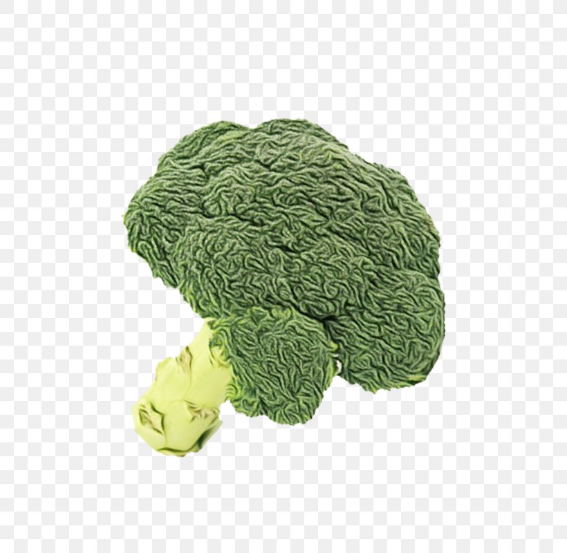 Vegetables Cartoon, PNG, 800x800px, Wool, Broccoli, Cabbage, Cauliflower, Food Download Free
