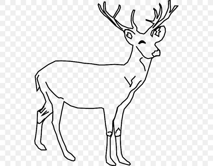 White-tailed Deer Red Deer Drawing Clip Art, PNG, 555x640px, Whitetailed Deer, Animal, Animal Figure, Antler, Black And White Download Free
