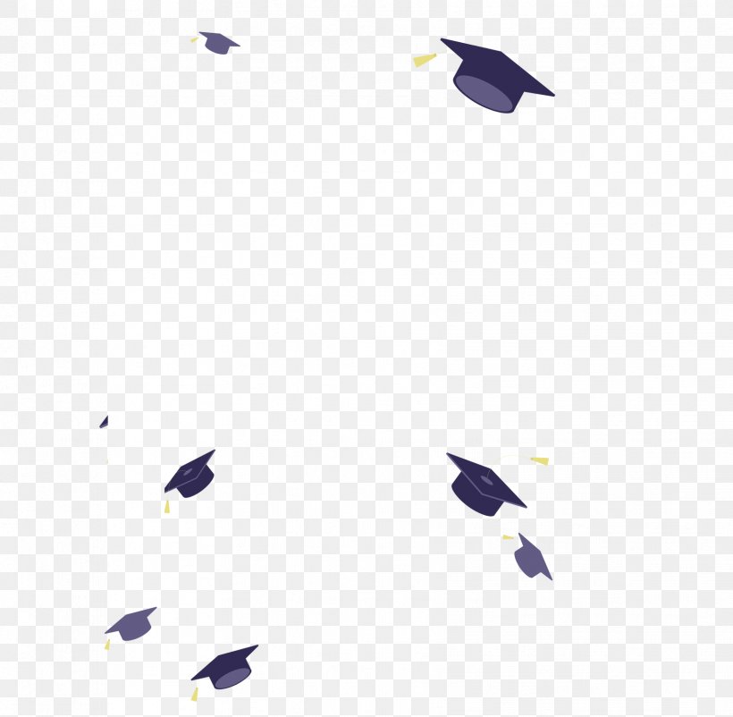 Bachelors Degree Graduation Ceremony Party University Academic Degree, PNG, 1707x1671px, Bachelors Degree, Academic Certificate, Academic Degree, Bird, Diploma Download Free