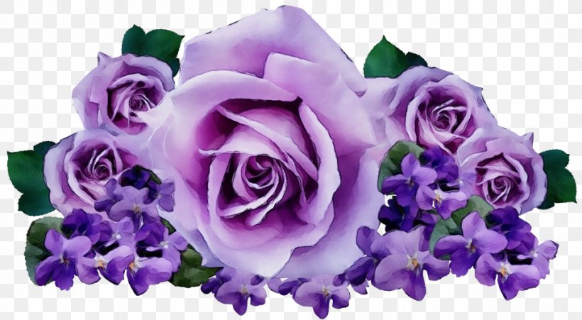 Garden Roses, PNG, 960x528px, Watercolor, Flower, Garden Roses, Lavender, Lilac Download Free