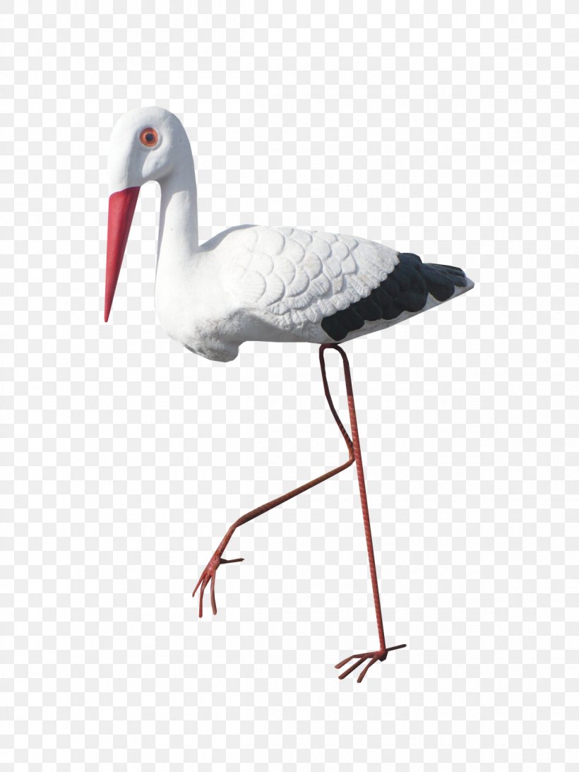 White Stork Bird Clip Art, PNG, 1200x1600px, White Stork, Beak, Bird, Chart, Ciconiiformes Download Free