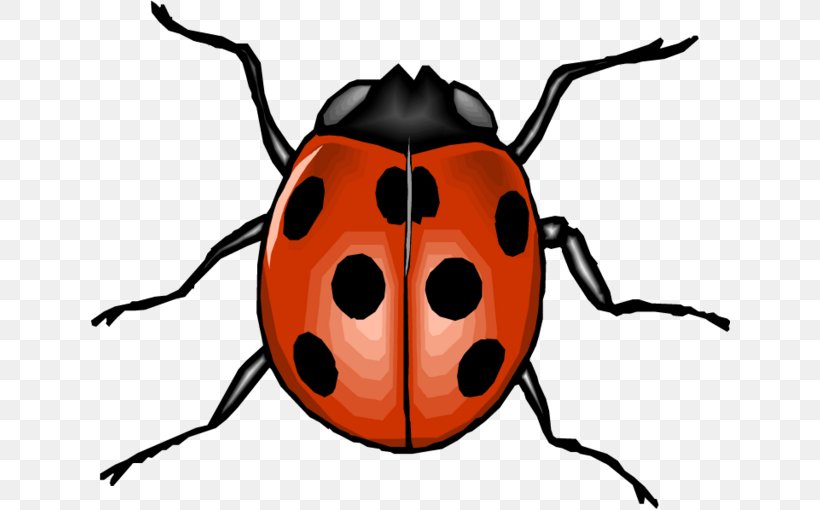 Beetle Clip Art Seven-spot Ladybird Animal Image, PNG, 640x510px, Beetle, Animaatio, Animal, Aphid, Arthropod Download Free