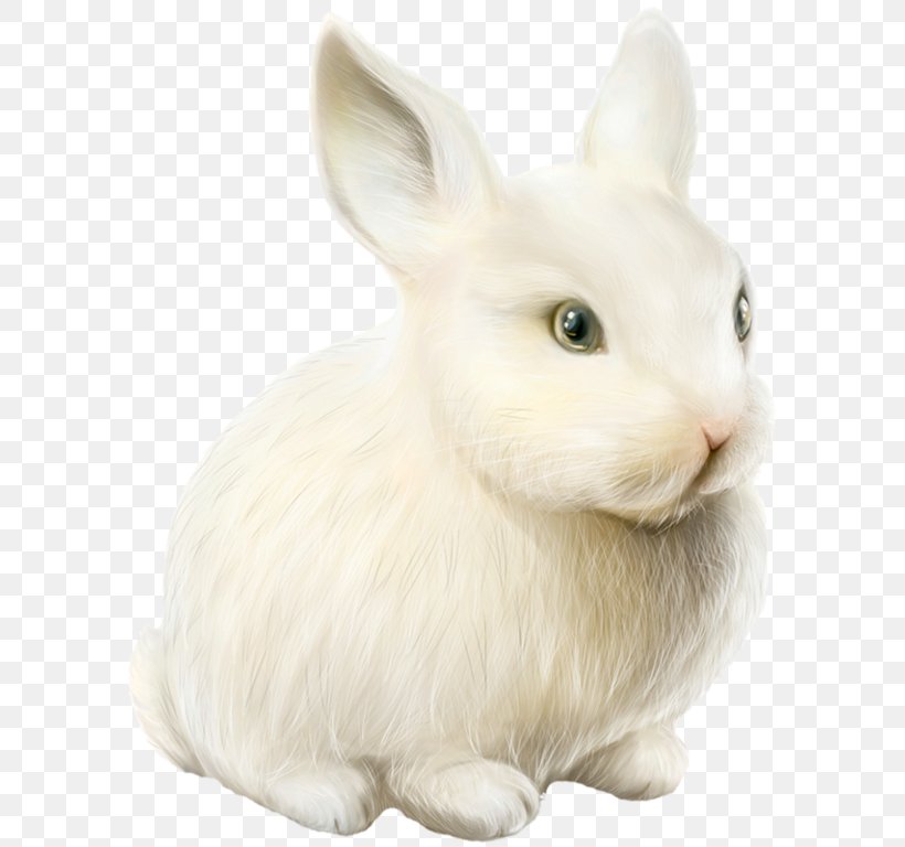 Domestic Rabbit Easter Bunny Hare, PNG, 600x768px, Domestic Rabbit, Blog, Centerblog, Digital Image, Easter Download Free