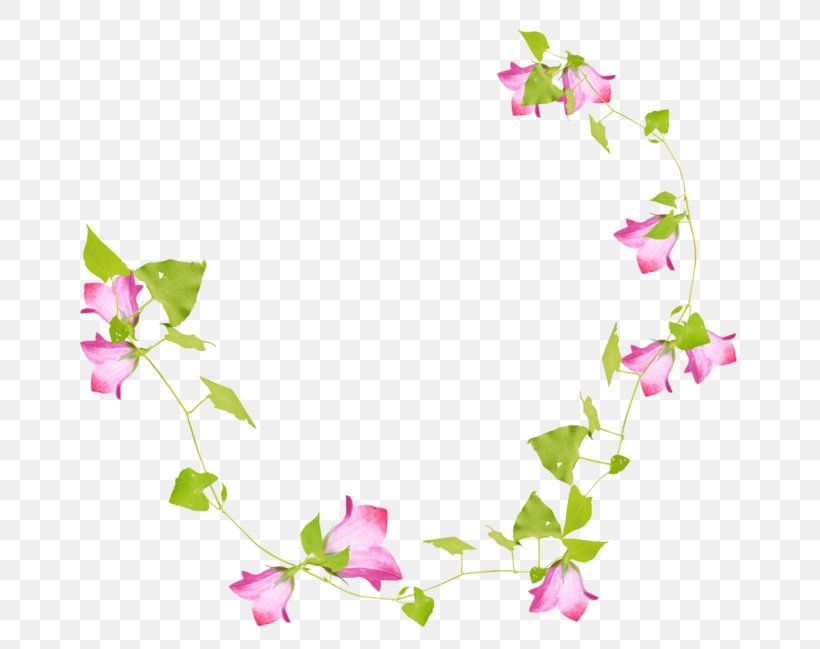 Floral Design Liana Branch Clip Art, PNG, 699x649px, Floral Design, Author, Blog, Blossom, Branch Download Free