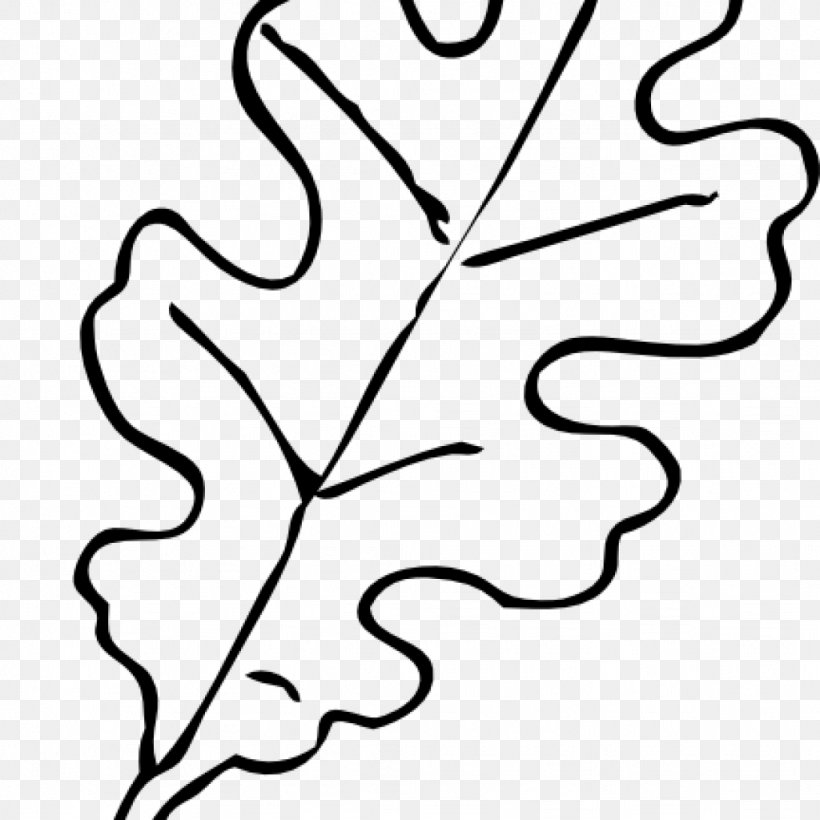 White Oak Drawing Leaf Northern Red Oak Tree, PNG, 1024x1024px, White Oak, Acorn, Blackandwhite, Botany, Coloring Book Download Free