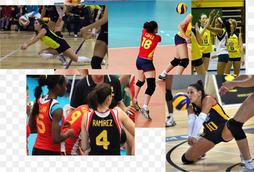 FIVB Volleyball World League Team Sport Libero, PNG, 1634x1106px, Fivb Volleyball World League, Ball, Ball Game, Championship, Competition Download Free