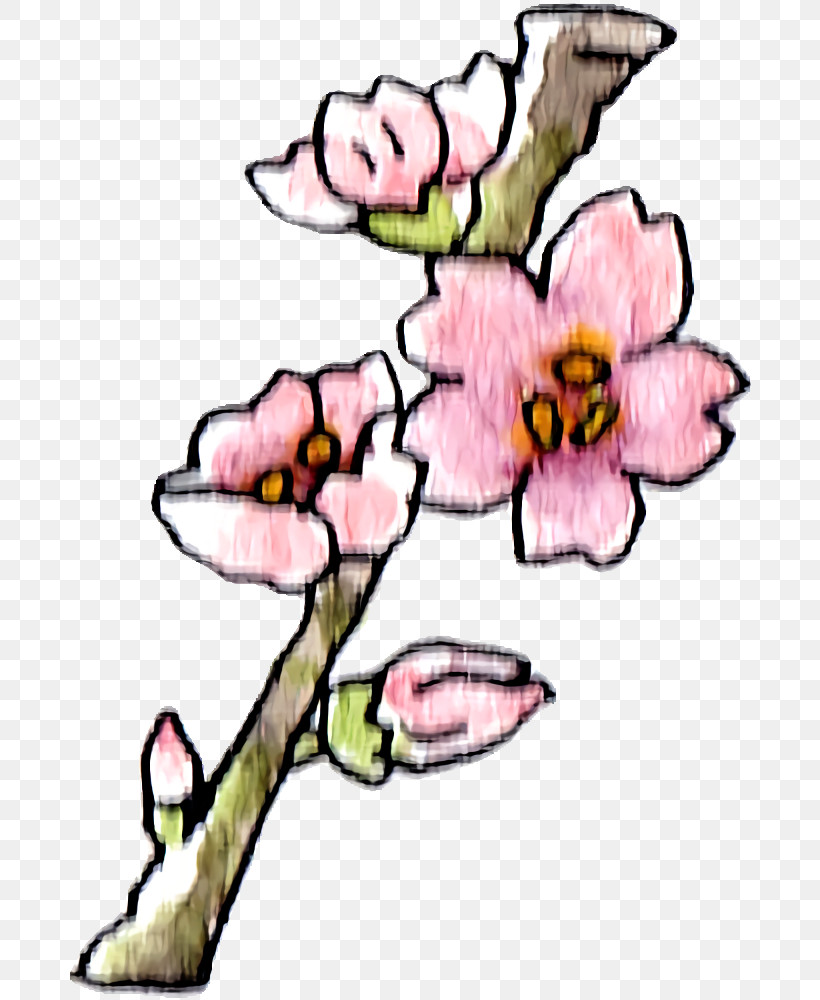 Floral Design, PNG, 688x1000px, Floral Design, Area, Biology, Branch, Cut Flowers Download Free