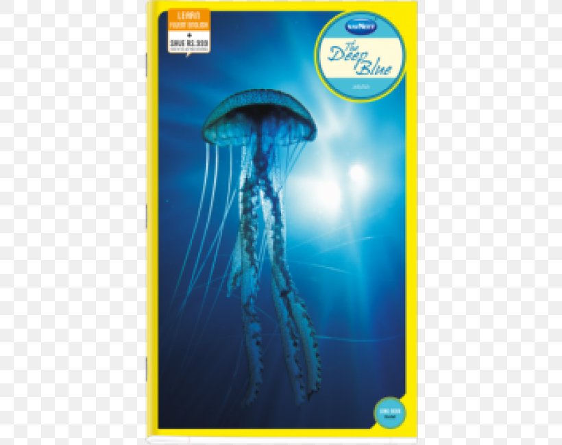 Immortal Jellyfish Box Jellyfish Polyp Planula Animal, PNG, 650x650px, Immortal Jellyfish, Adaptation, Animal, Aurelia Aurita, Box Jellyfish Download Free