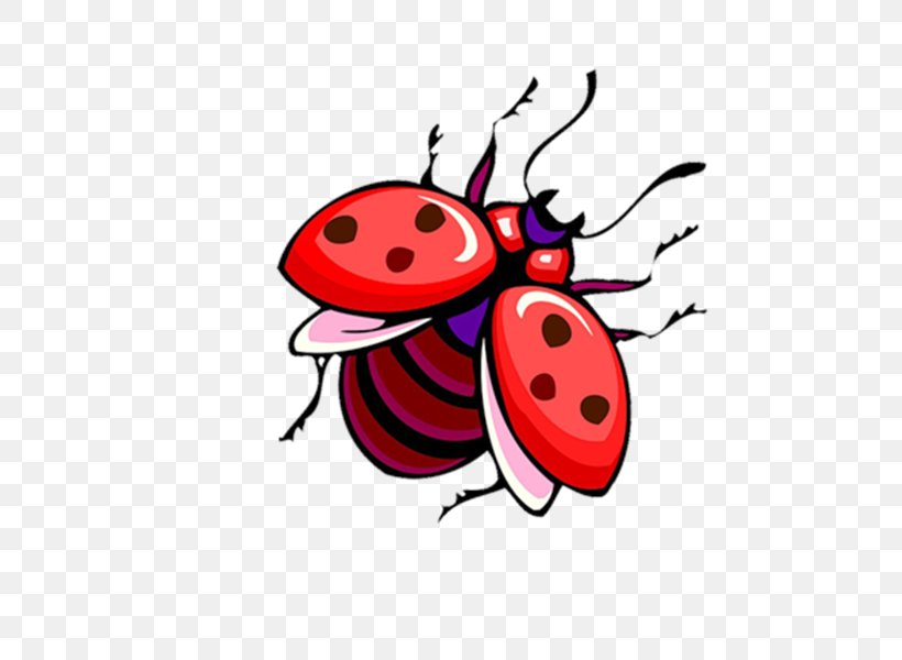 Ladybird Drawing Cartoon Clip Art, PNG, 600x600px, Ladybird, Animal, Artwork, Beetle, Cartoon Download Free