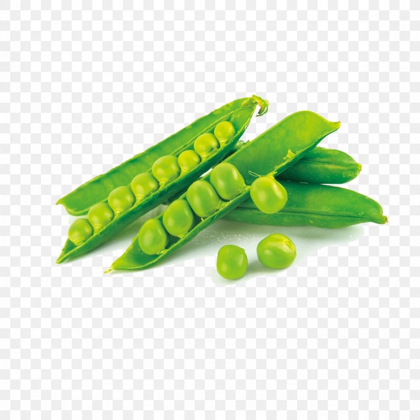 Snap Pea Dietary Supplement Protein Bean, PNG, 1181x1181px, Snap Pea, Bean, Corn On The Cob, Crop Yield, Dietary Supplement Download Free