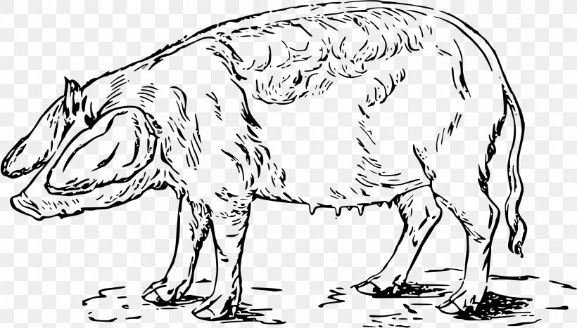 Wild Boar Drawing Clip Art, PNG, 2400x1367px, Wild Boar, Animal, Animal Figure, Artwork, Black And White Download Free