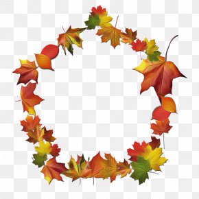 Plane Maple - Maple Leaf PNG