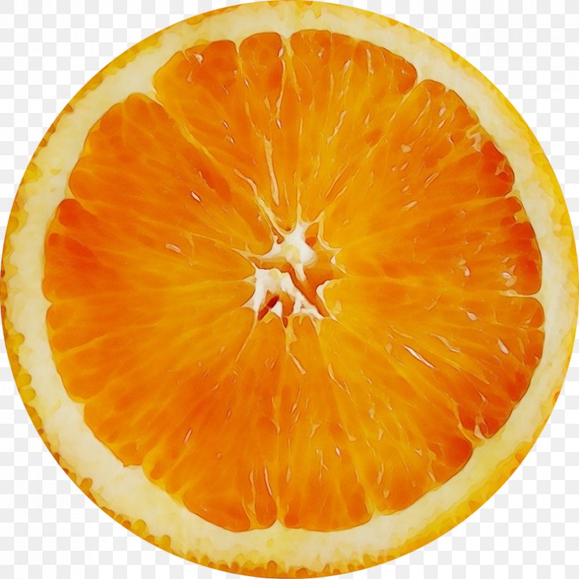 Orange, PNG, 829x829px, Watercolor, Citrus, Clementine, Food, Fruit Download Free