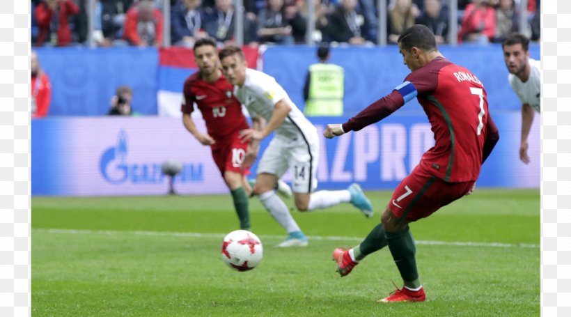 Portugal National Football Team Halle Open FIFA Confederations Cup The Championships, Wimbledon, PNG, 1146x637px, Football, Arena, Ball, Ball Game, Championship Download Free
