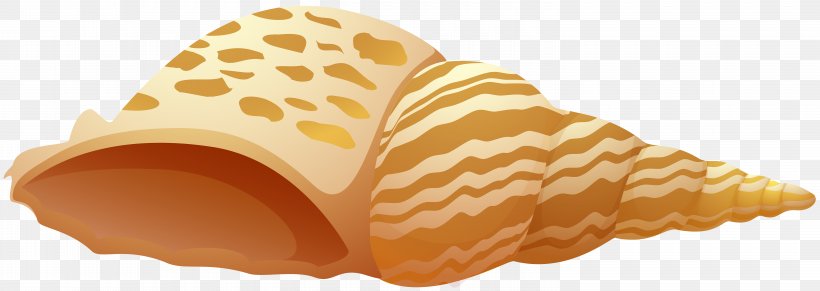 Seashell - Seashell Ice Cream Cones Clip Art PNG