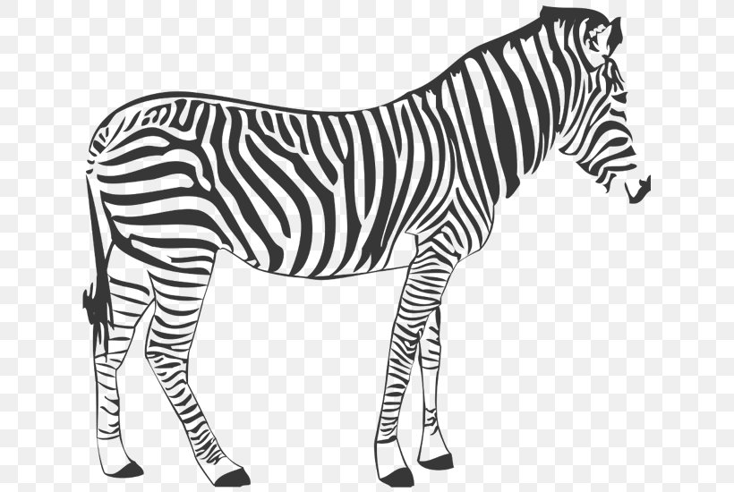 Wall Decal Quagga Zebra Horse, PNG, 800x550px, Wall Decal, Animal, Animal Figure, Black And White, Decal Download Free