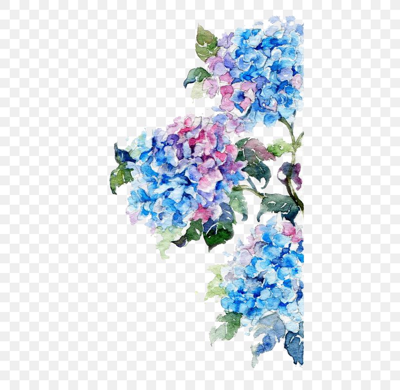Watercolor Painting Flower Drawing, PNG, 427x800px, Watercolour Flowers, Art, Blue, Branch, Cornales Download Free
