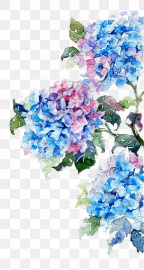 Watercolor Flowers - Watercolor Painting Flower Drawing PNG
