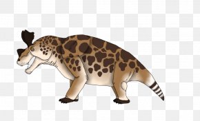 Cat - Cat Terrestrial Animal Fauna Wildlife PNG