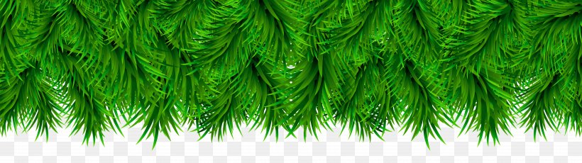 Download.com Microsoft Windows CCleaner Software, PNG, 5000x1403px, Christmas, Christmas Tree, Close Up, Garland, Grass Download Free