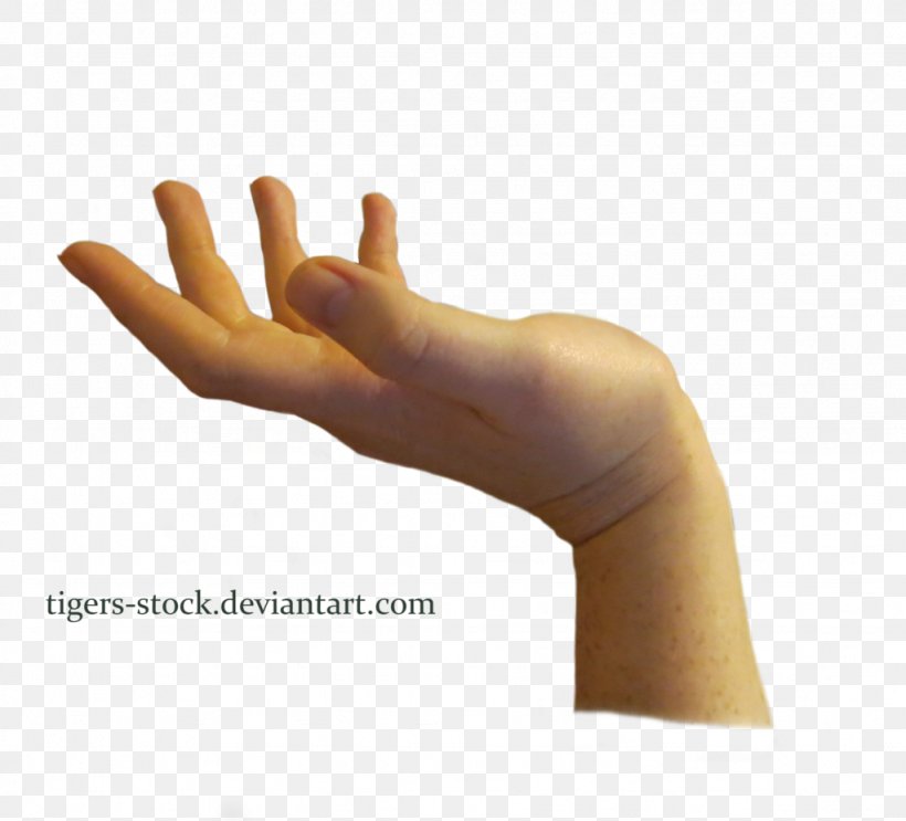 Hand Finger Image File Formats, PNG, 1024x929px, Hand, Arm, Data Compression, Finger, Hand Model Download Free