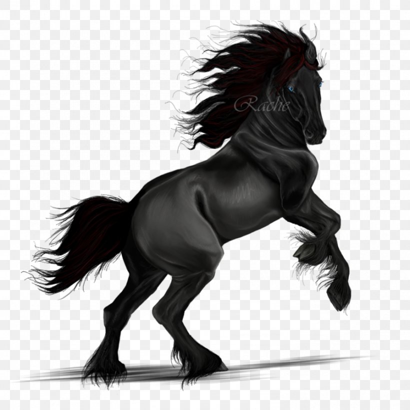 Mane Mustang Pony Art Stallion, PNG, 894x894px, Mane, Art, Artist, Black And White, Bridle Download Free