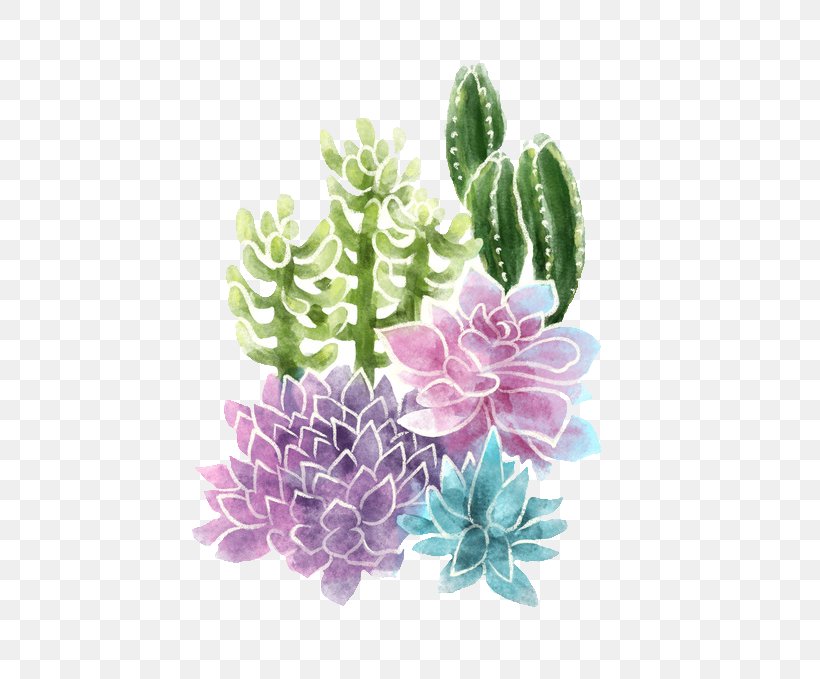 Succulent Plant Cactaceae Cacti And Succulents, PNG, 550x679px, Succulent Plant, Aquarium Decor, Cactaceae, Cacti And Succulents, Color Download Free