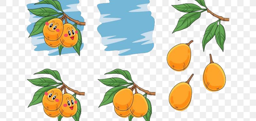 Auglis Pear Illustration, PNG, 650x389px, Auglis, Apricot, Branch, Carambola, Citrus Download Free