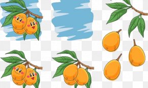 Cute Apricot - Auglis Pear Illustration PNG
